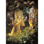 Lord Krishna with Brahma